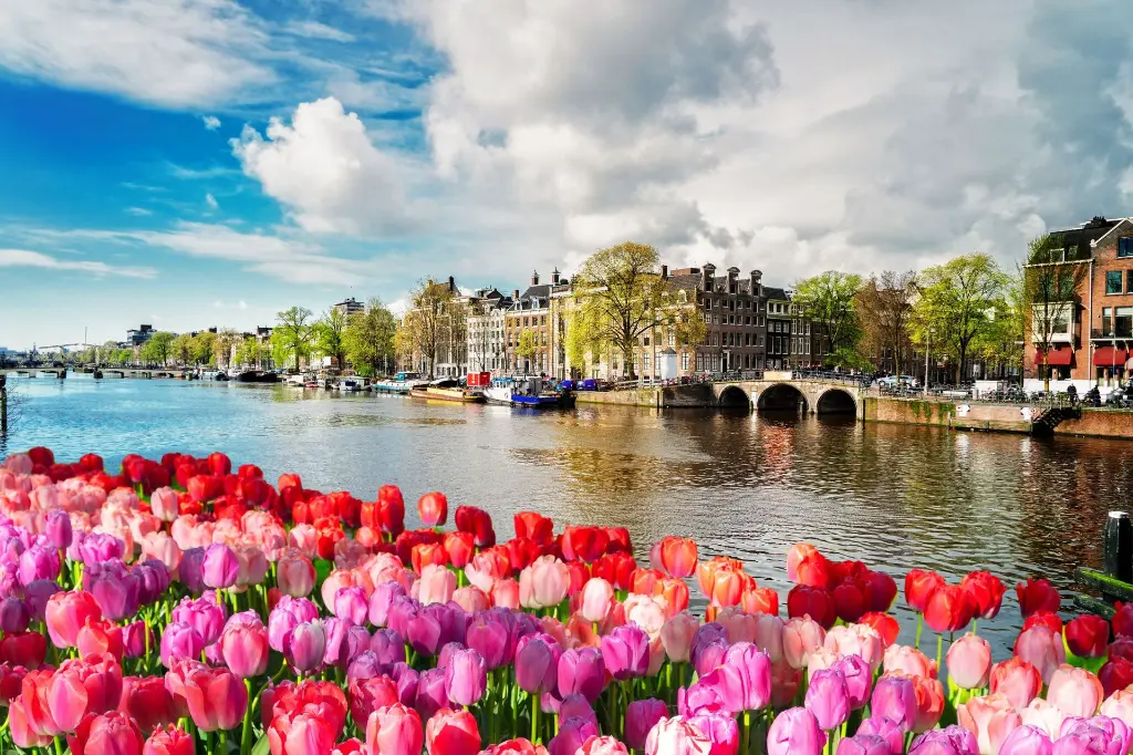 Amsterdam.webp